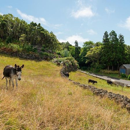 Villa Casa Da Figueirinha Calheta de Nesquim Exterior foto