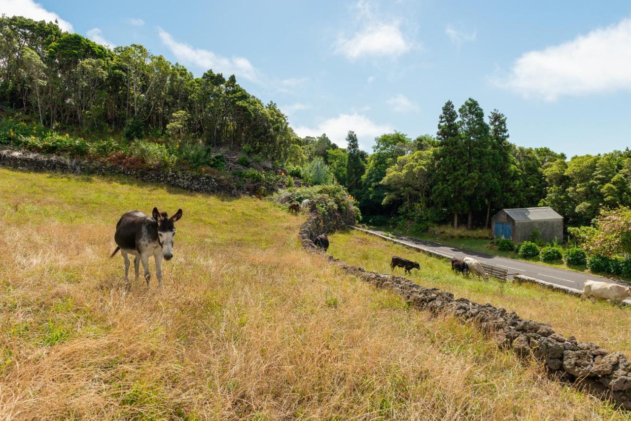 Villa Casa Da Figueirinha Calheta de Nesquim Exterior foto